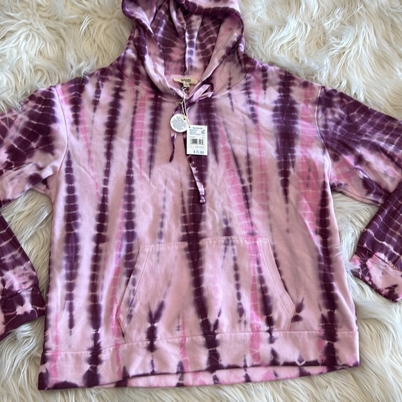 Splendid - Picture 3 of 5